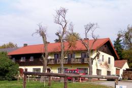 Aus unseren Referenzen dachpfanne_10.jpg